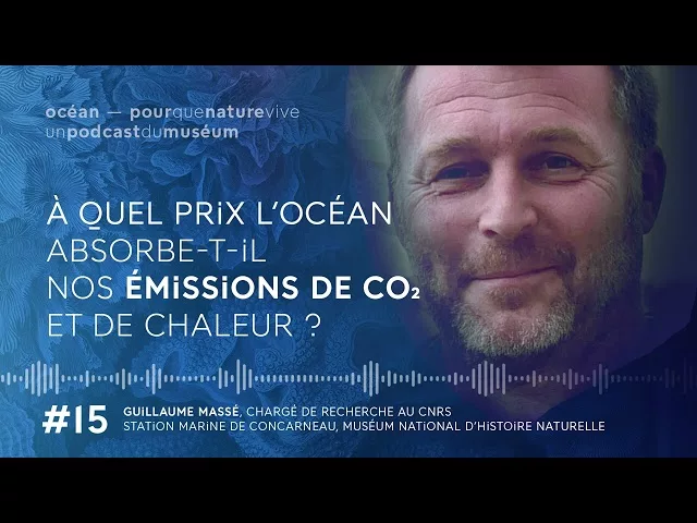 Documentaire À quel prix l’océan absorbe-t-il nos émissions de CO₂ et de chaleur ?