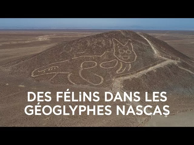 Documentaire Les félins chez les Nascas – Histoire des félins dans la culture précolombienne