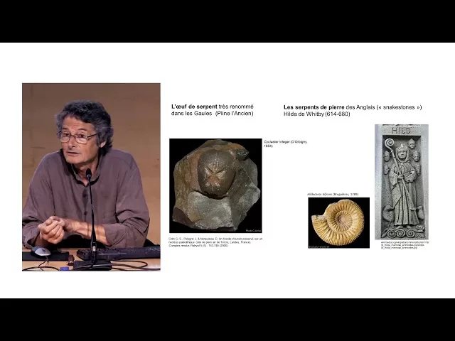 Documentaire Paléontologie, mythes et légendes