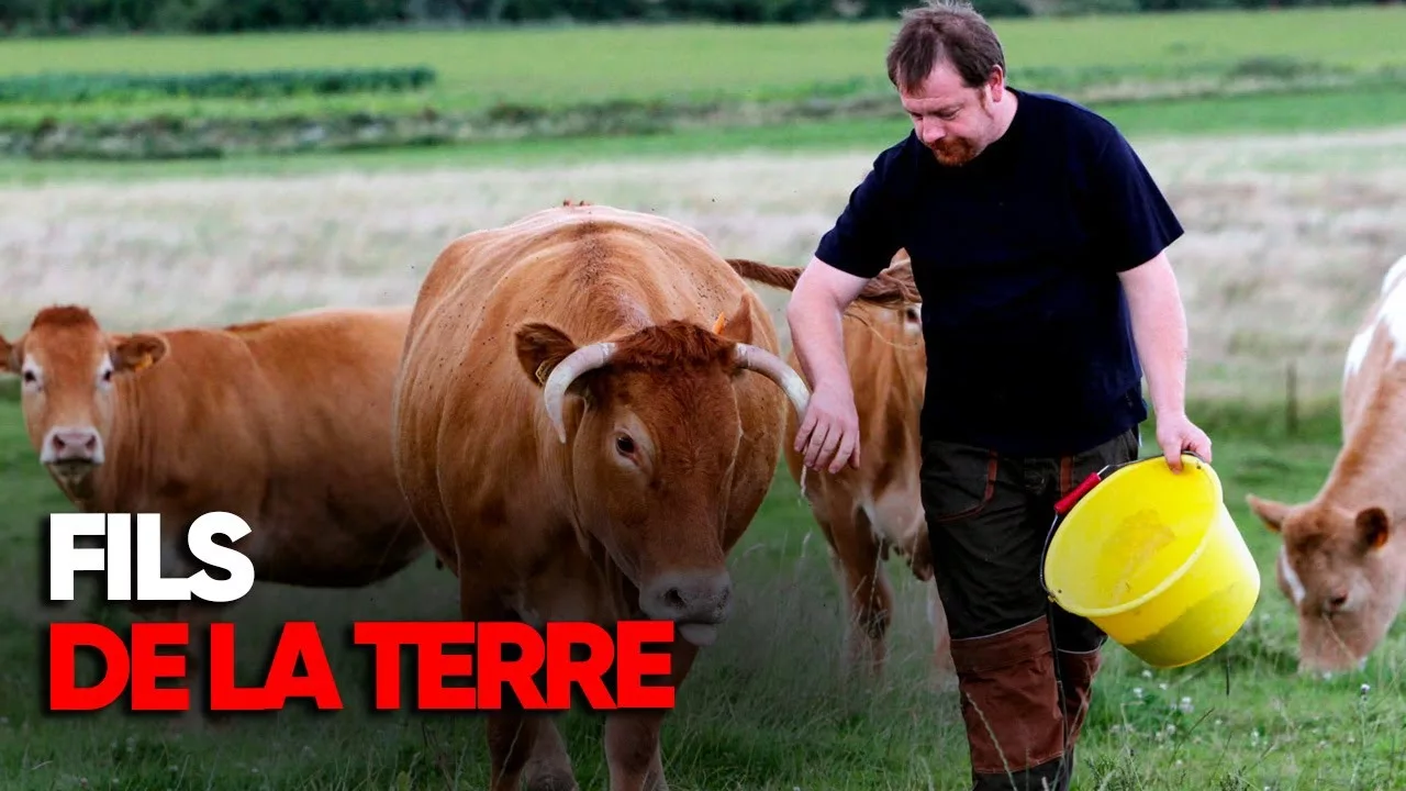 Documentaire La souffrance des agriculteurs en France