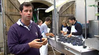 Documentaire Les Grands Vins Français – Bourgogne : Côte de Nuits