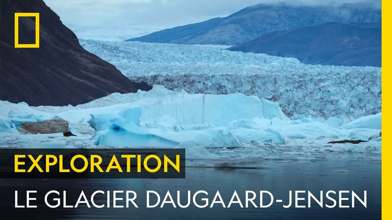 L'immense glacier Daugaard-Jensen perd 10 milliards de tonnes de glace chaque année