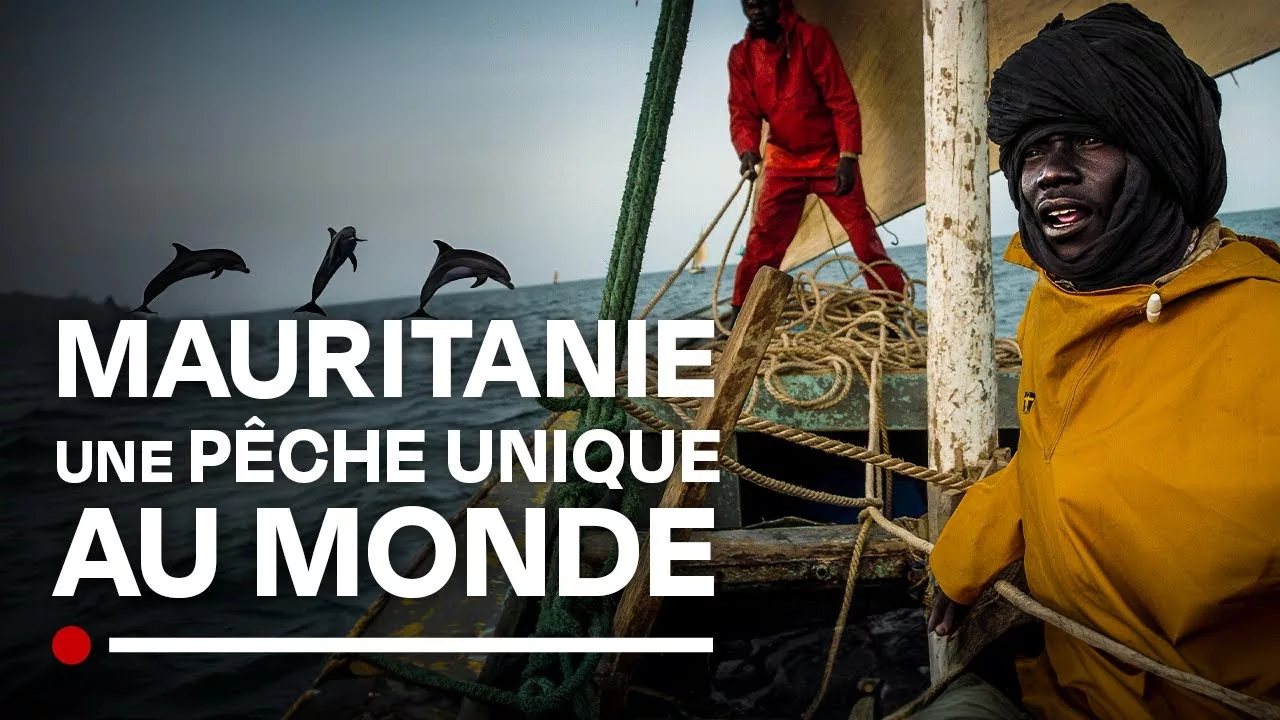 Documentaire Mauritanie : une pêche unique au monde disparue