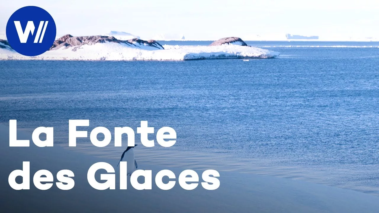 Documentaire Réchauffement climatique: En Antarctique pour comprendre l’état de notre planète