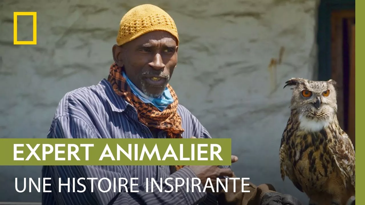Documentaire Un maître fauconnier parle de son parcours atypique et de ses engagements