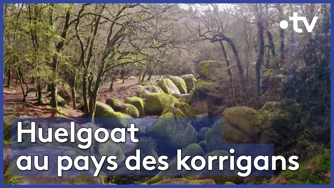 Documentaire Bretagne : la forêt des korrigans