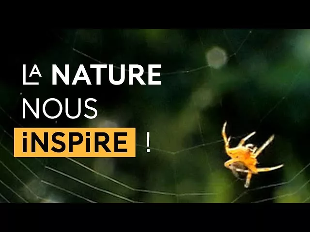 Documentaire Biomimétisme : des idées dans la nature