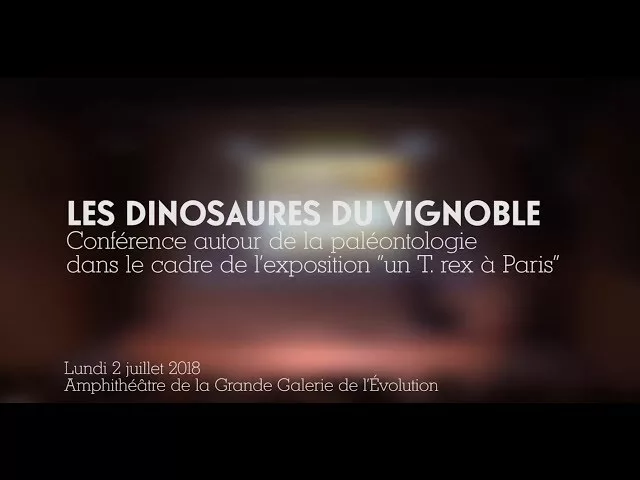 Documentaire Les dinosaures du vignoble