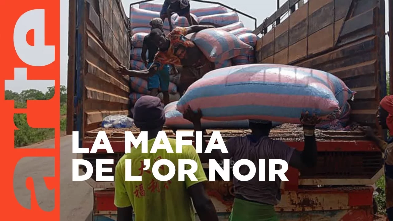 Côte d’Ivoire : haro sur le cacao