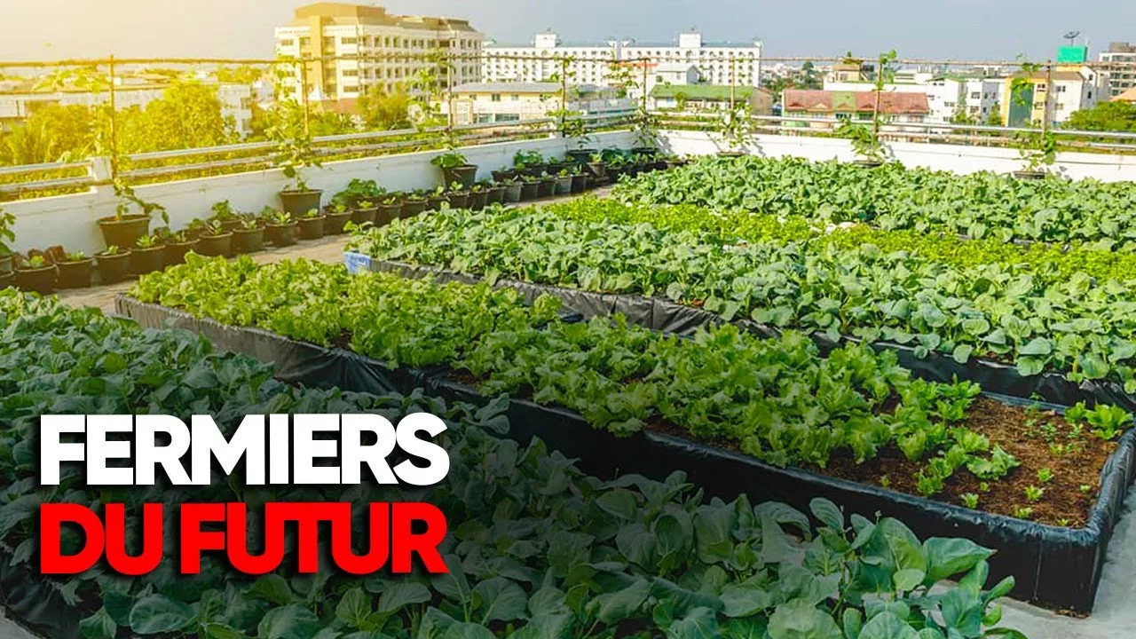 Fermiers du futur, ces nouveaux modèles d’agriculture urbaine