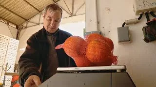 Documentaire La Corse, le pays de l’orange