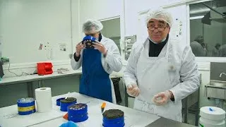 Documentaire Le secret du bon caviar
