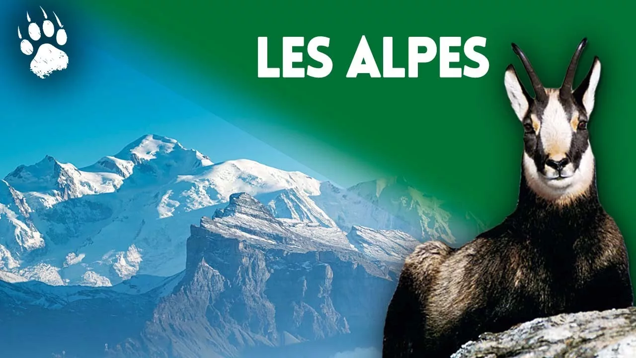 Les Alpes sauvages - Un univers mystérieux