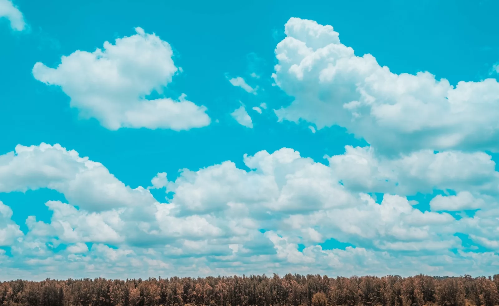 Documentaire Distinguer les nuages : décryptage de la variété dans le ciel