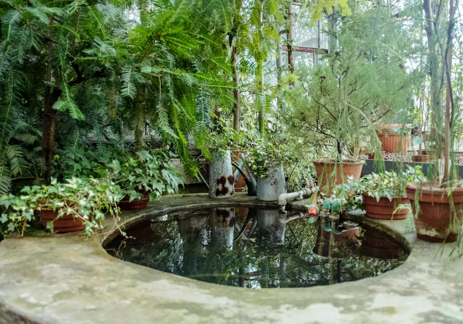 L'installation d'un bassin de jardin : petit guide