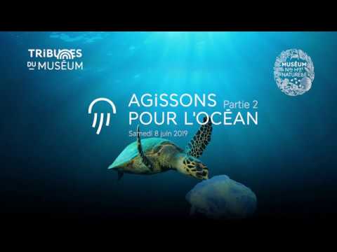 Réchauffement des océans et pollution plastique