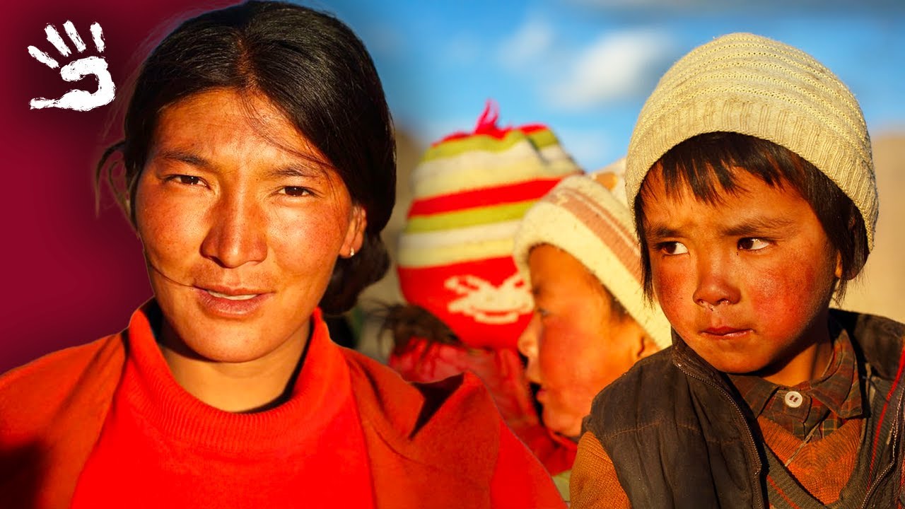 Derniers nomades de l’himalaya : vie et traditions des bergers du Ladakh