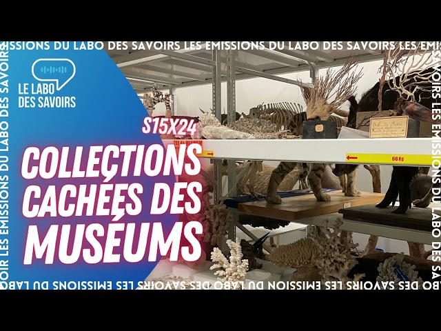 Collections cachées des muséums