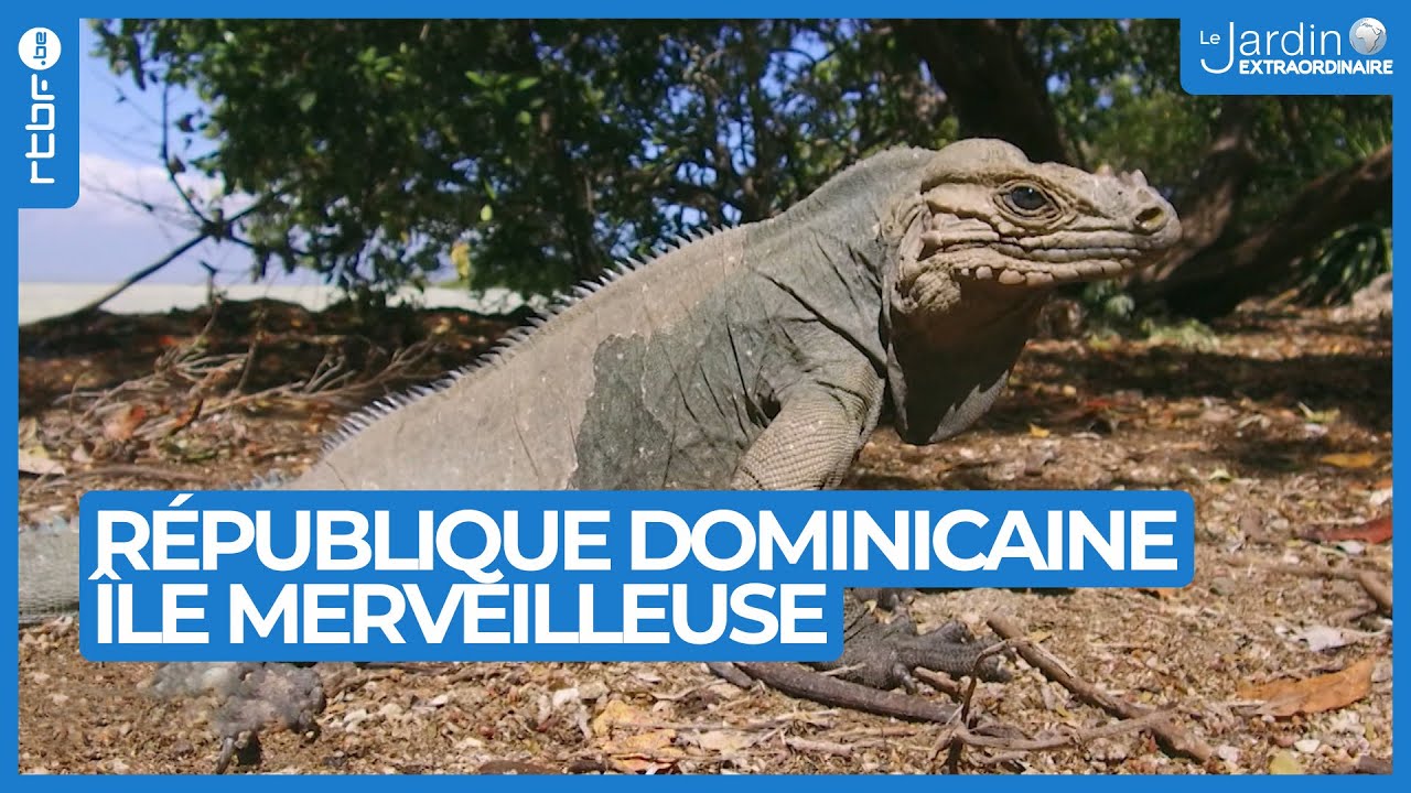 République Dominicaine : île merveilleuse