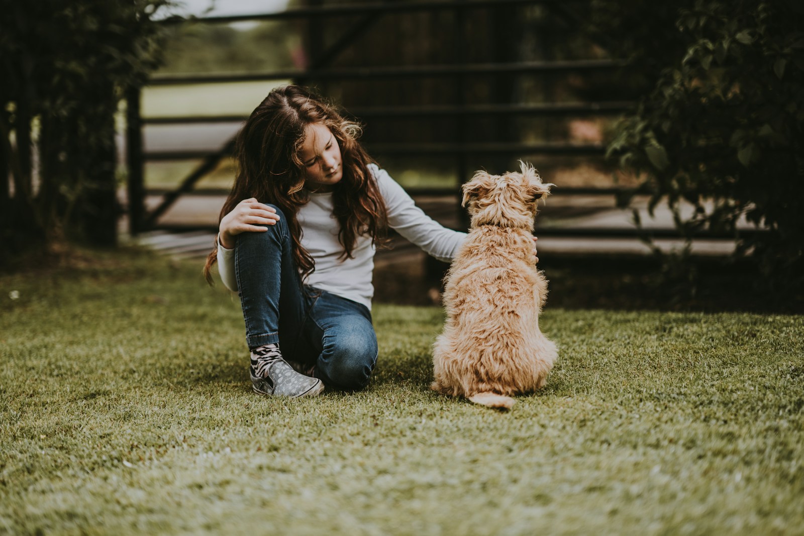 Les animaux de compagnie sont-ils une source d’allergies pour les enfants ?
