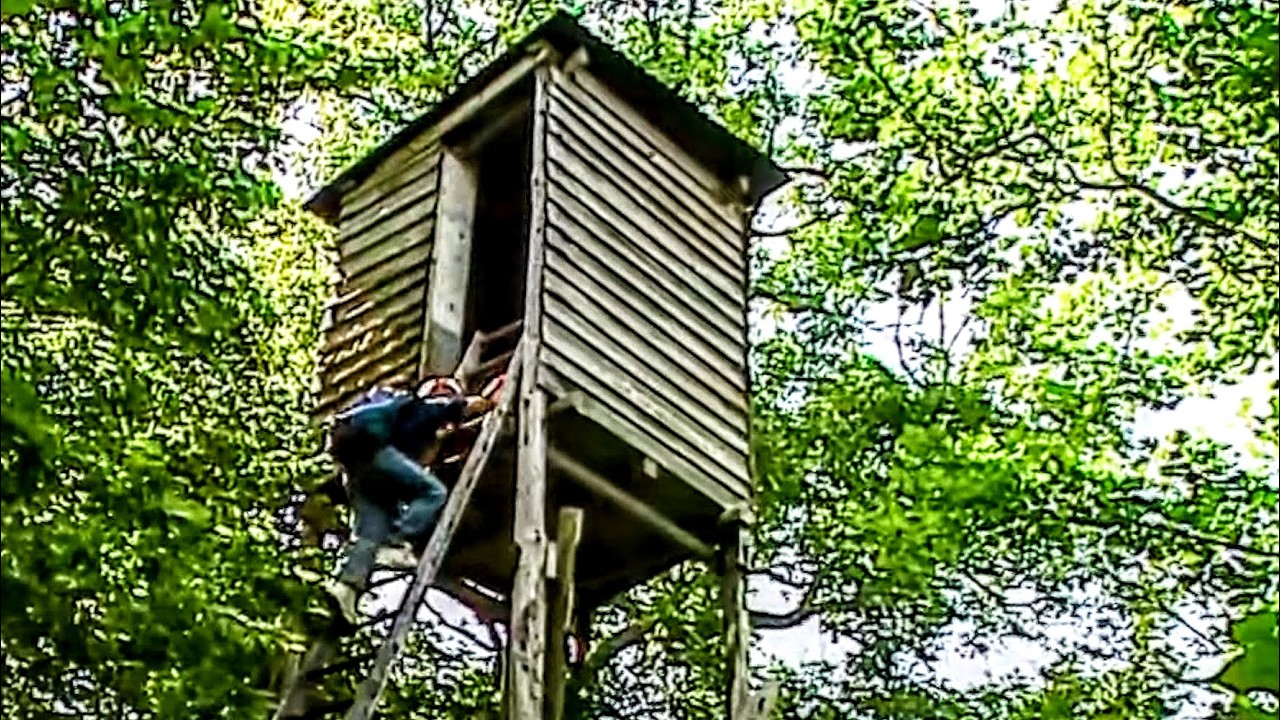 Le Petit Guide des Bois Enchantés