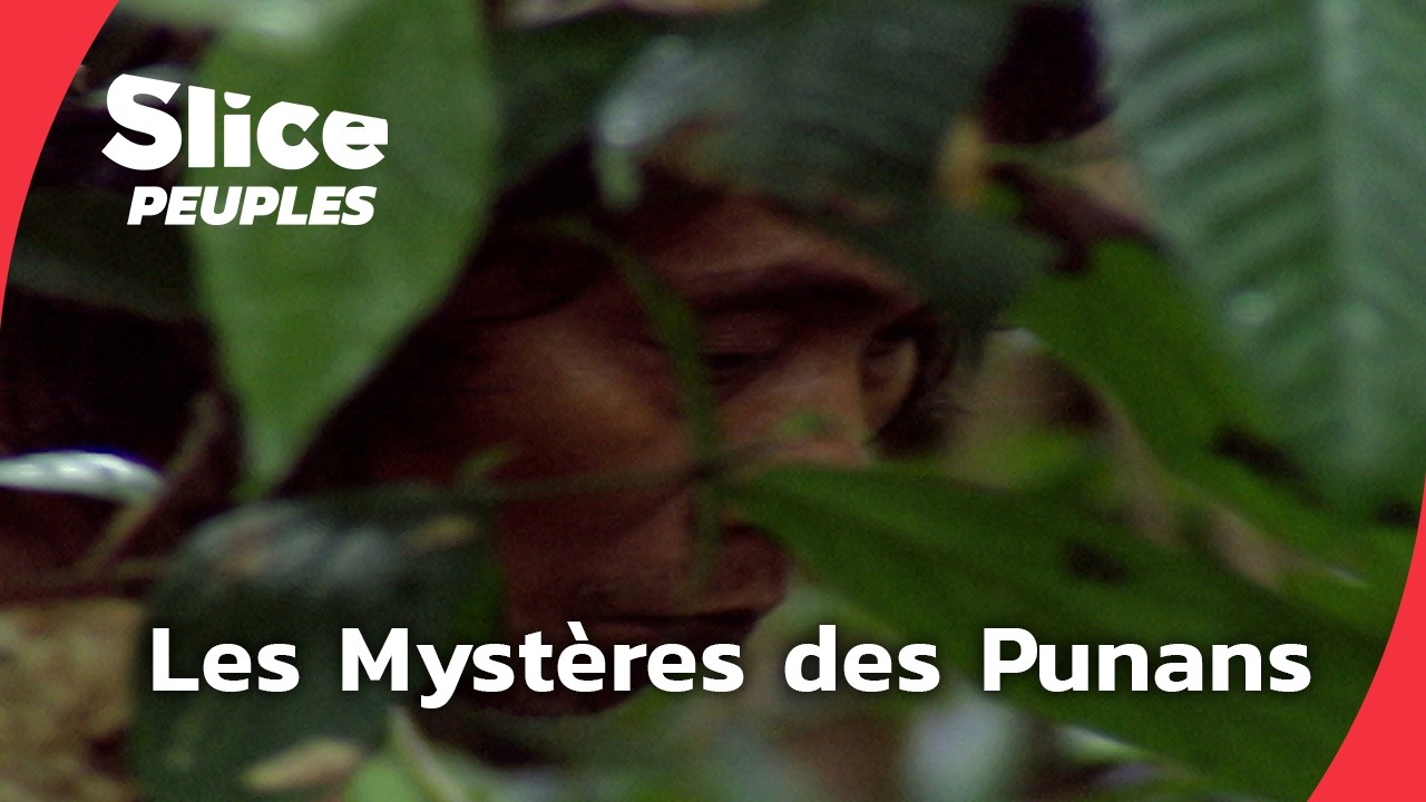Les Punans de Bornéo : mystères d’une tribu cachée