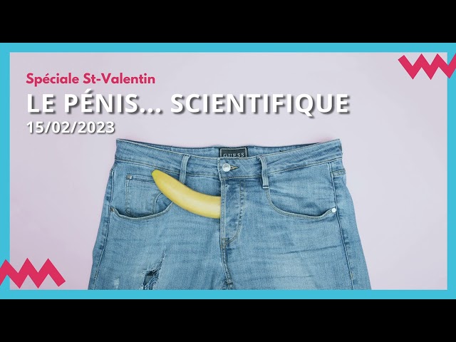 Le pénis… scientifique