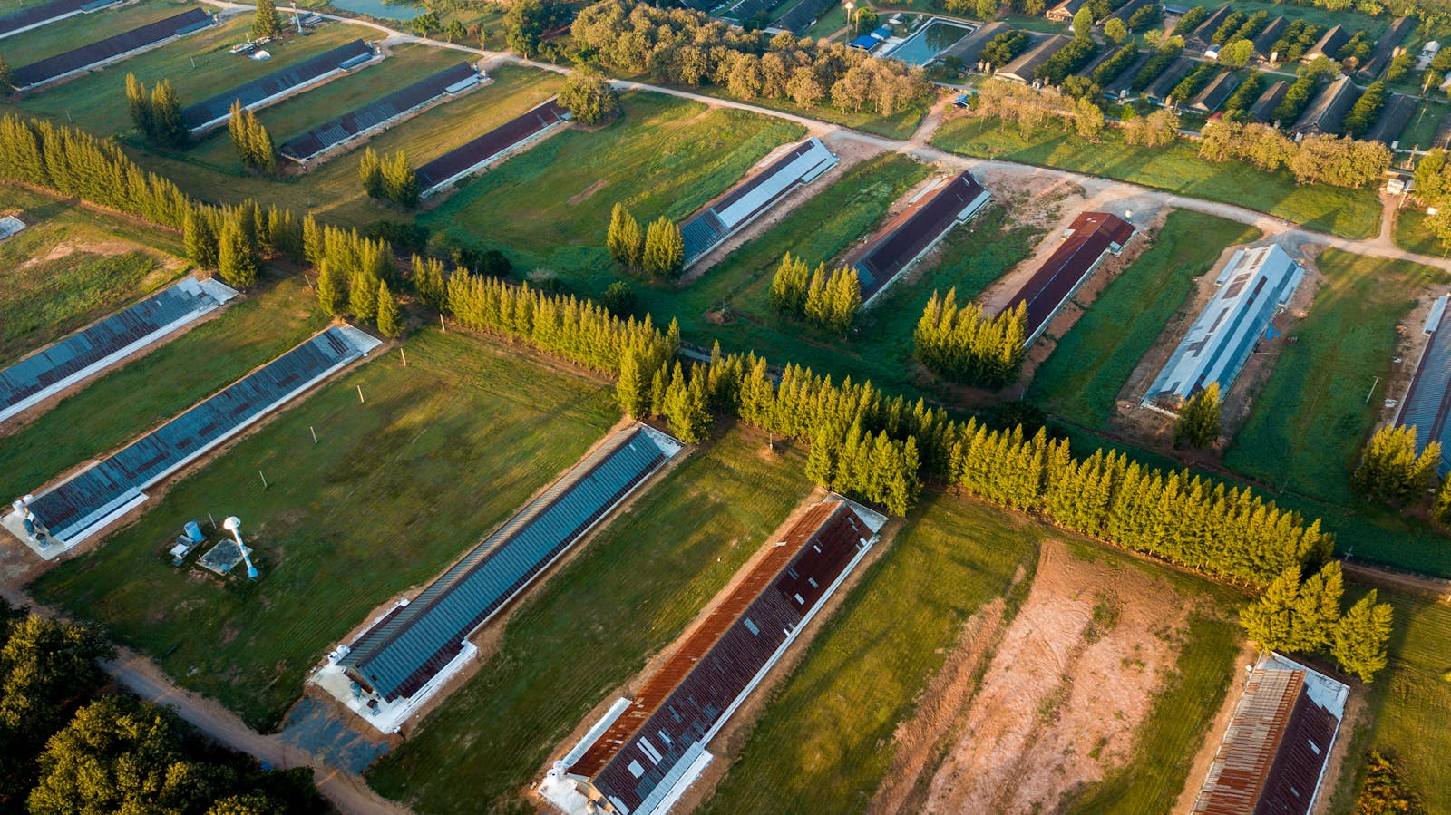 Avant d’acheter un terrain, vérifiez sa constructibilité en consultant le PLU, en demandant un certificat d’urbanisme, en contrôlant sa viabilisation et en évaluant les risques naturels et les servitudes.