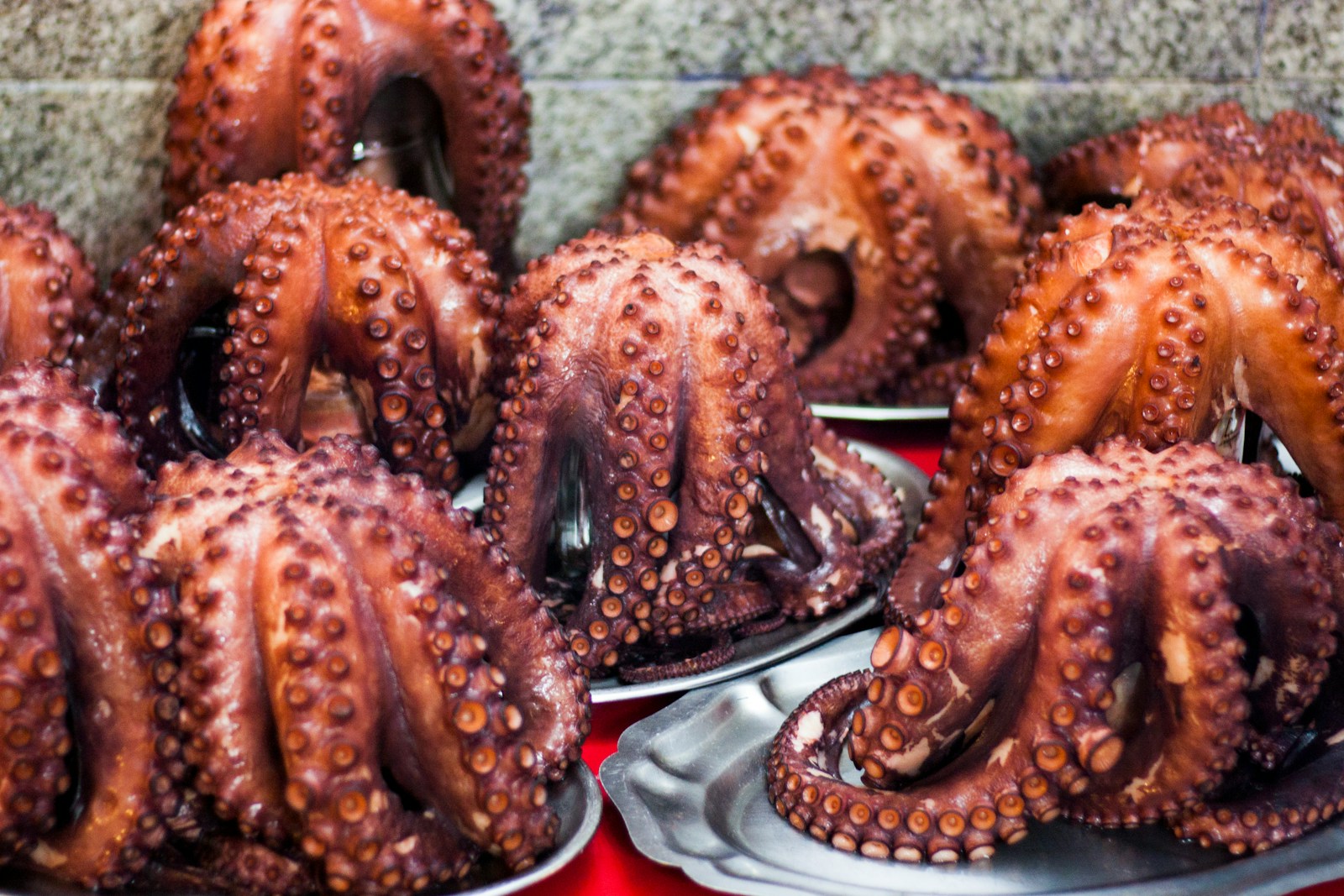Cuisine : le poulpe, l’élément incontournable du Finistère