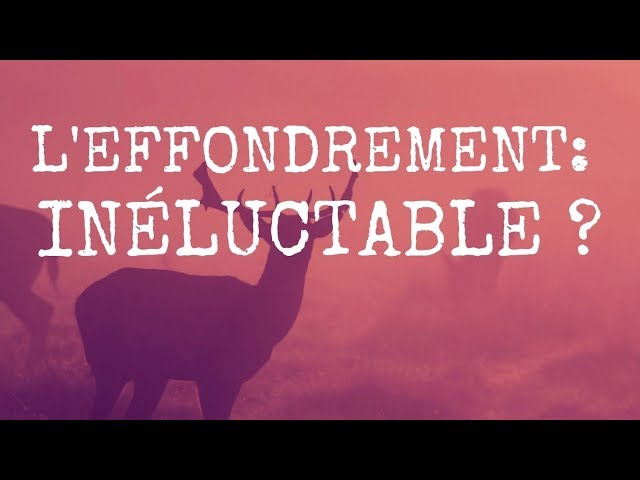 L'effondrement : inéluctable ?