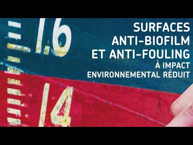 Surfaces anti-biofilm et anti-fouling à impact environnemental réduit