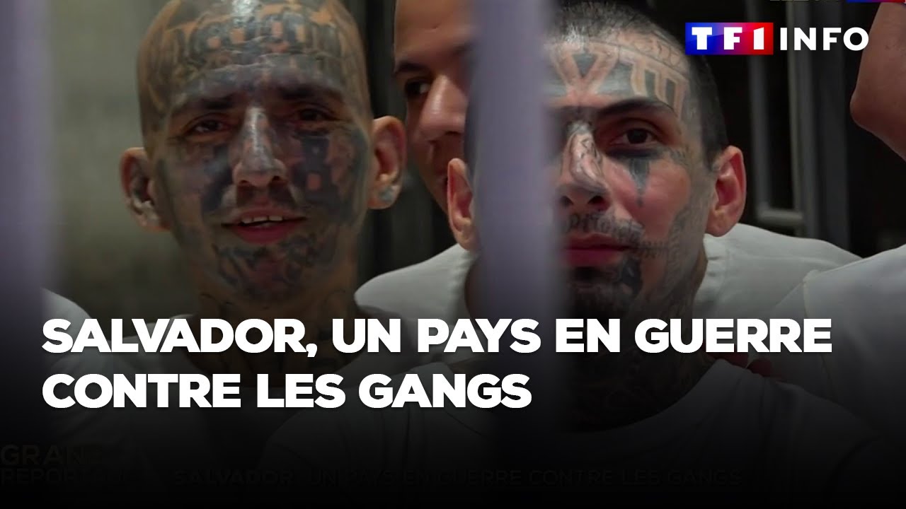 Salvador : un pays en guerre contre les gangs