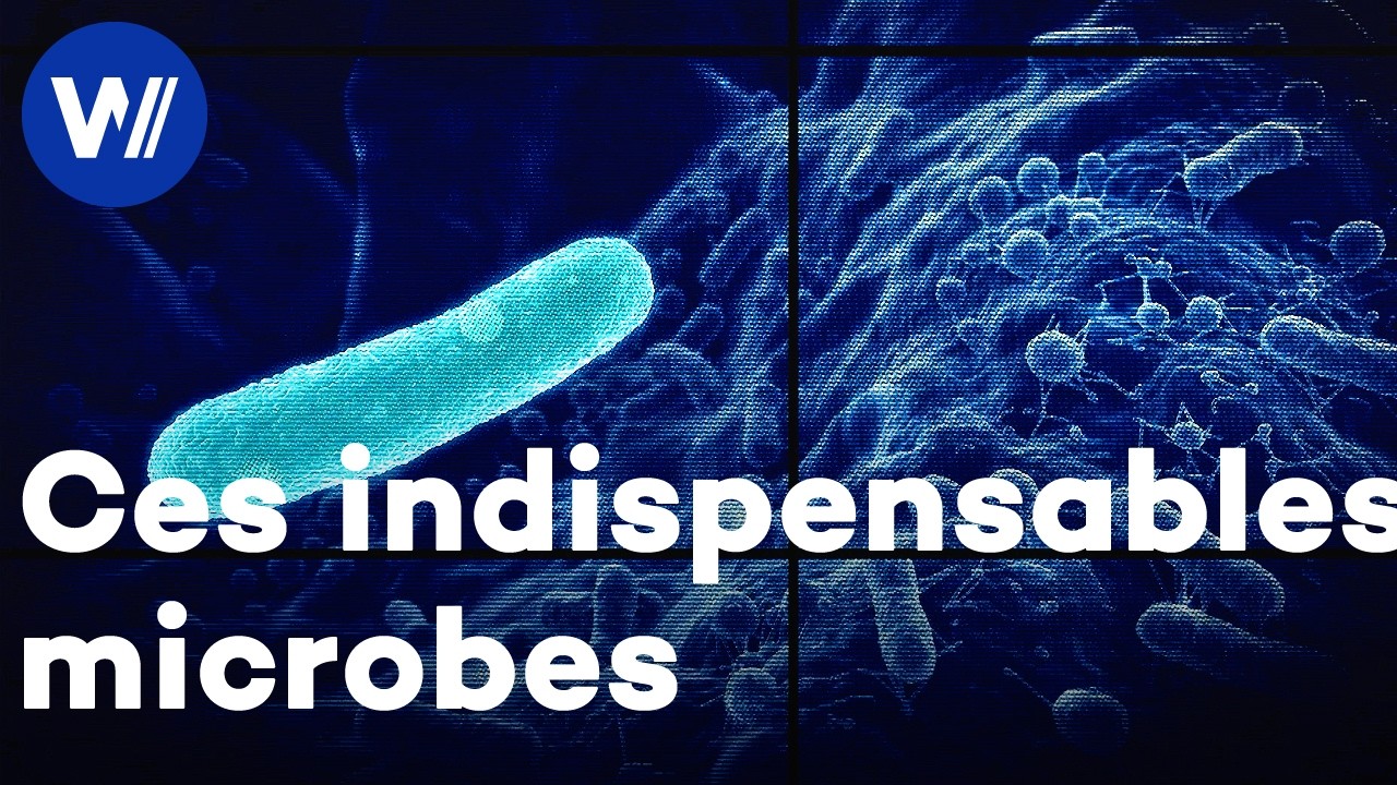 Les microbes sont partout – et ils sont essentiels à la vie humaine et animale sur Terre