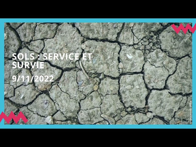 Sols : services et survie
