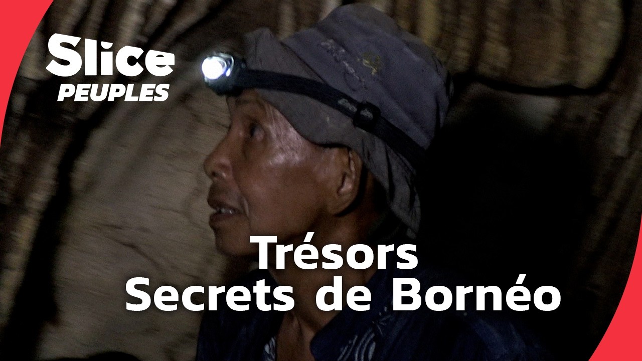 Tewet : l’héritage caché de Bornéo