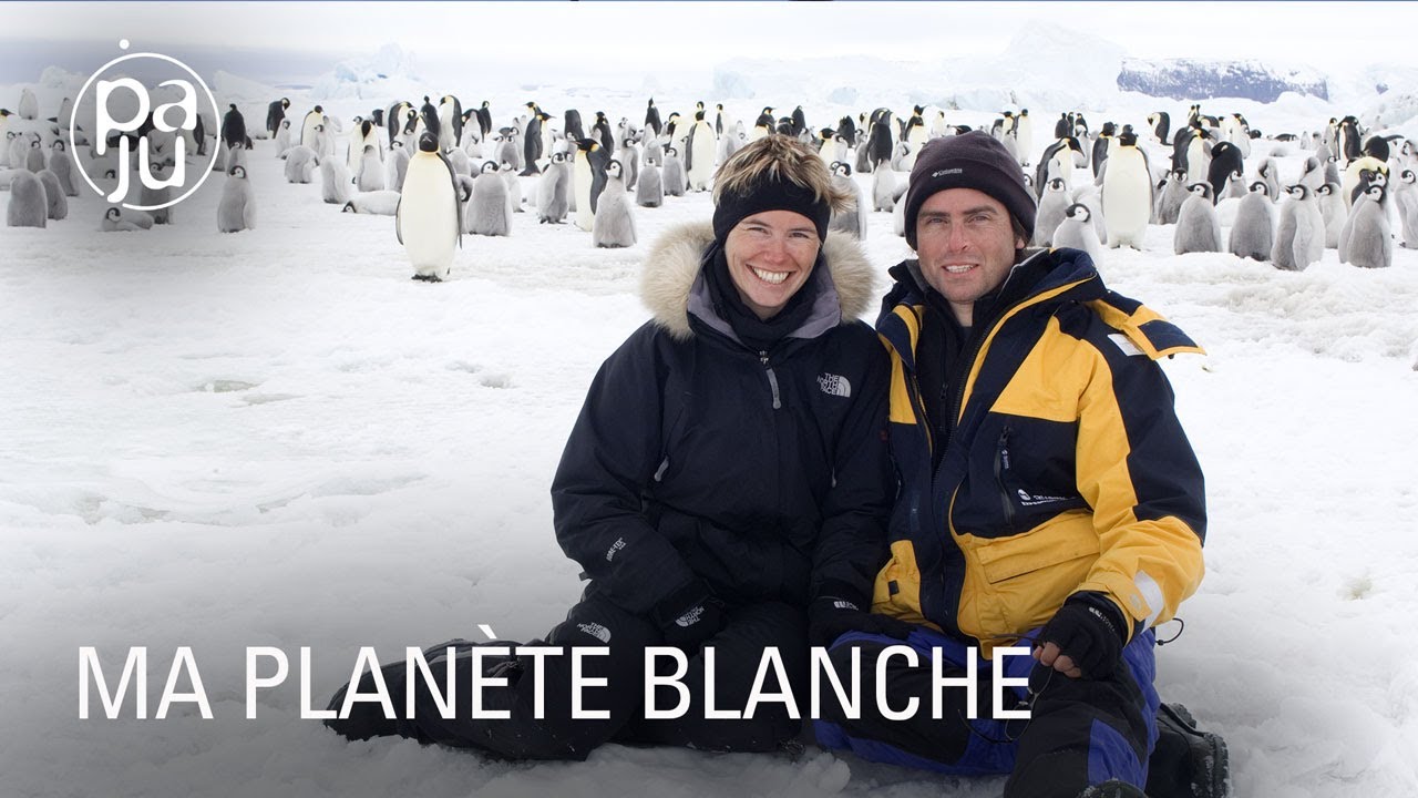Une photographe et son mari aquarelliste saisissent la beauté pure du monde sauvage de l’Antarctique