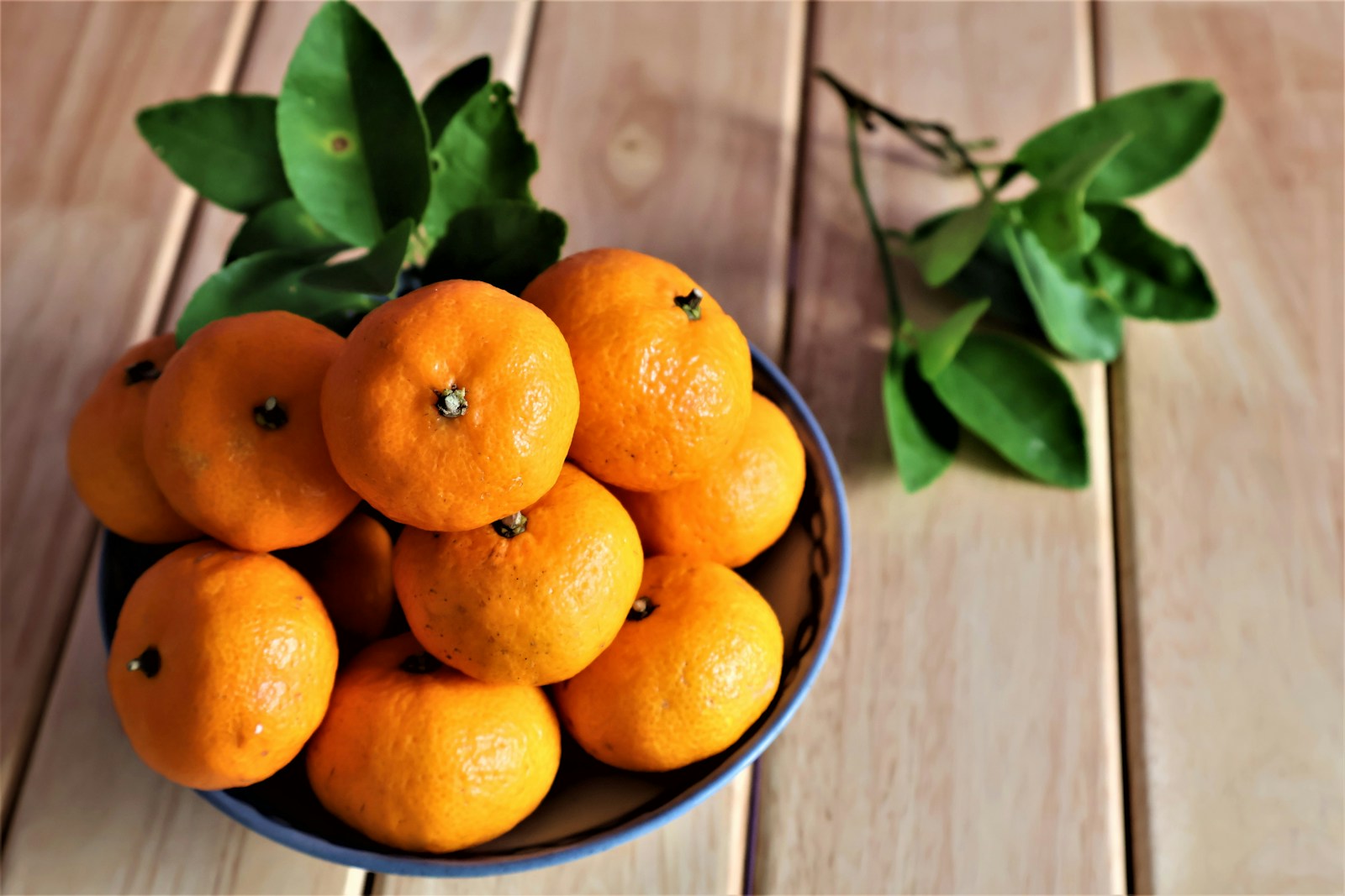 Mandarines, clémentines et oranges : quels trésors cachent ces agrumes ?