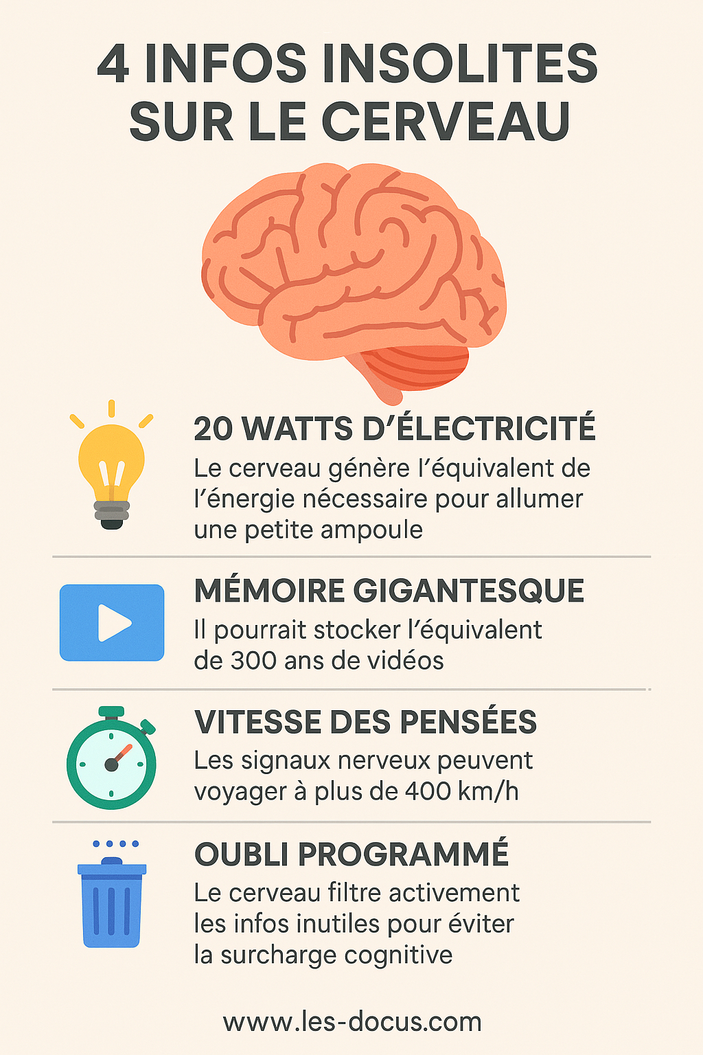 4 informations insolites sur le cerveau humain