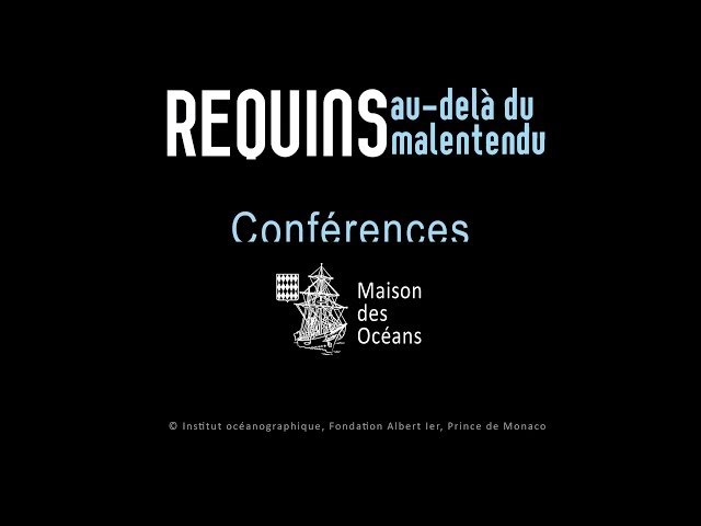 L’enjeu de la pêche durable pour la survie des requins