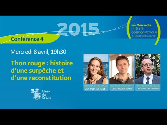 Thon rouge: histoire d'une surpêche et d'une reconstitution