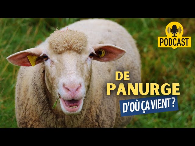 D'où vient l'expression "mouton de panurge" ?