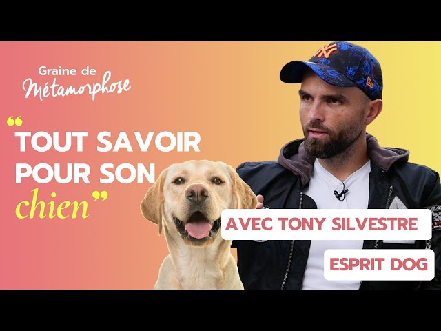 Eduquer son chien : tous les meilleurs conseils