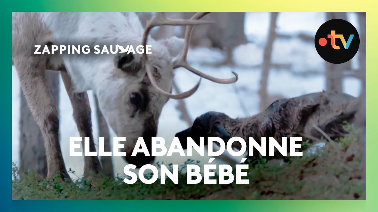 Elle abandonne son bébé après l’avoir mis au monde