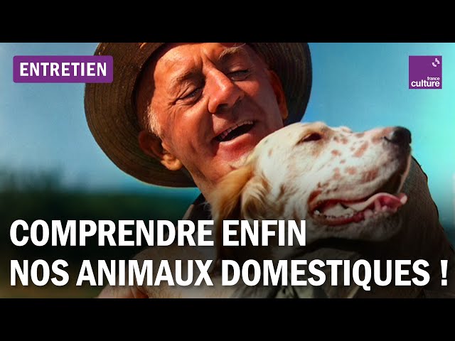 Et si nous nous mettions dans la peau des animaux de compagnie ?