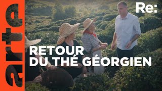 Géorgie : le thé de la liberté ?