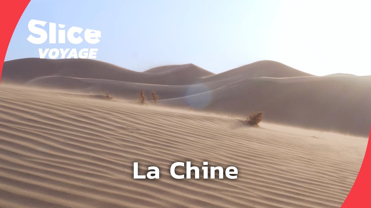 La Chine en guerre contre le « dragon jaune »