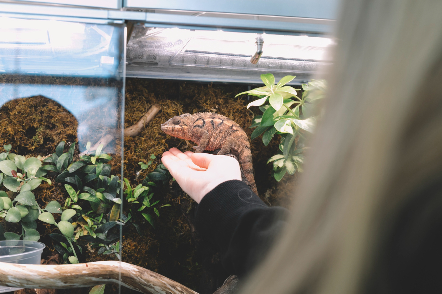 Le métier de soigneur animalier offre des journées bien remplies, diversifiées et organisées. C’est une profession qui demande rigueur et ne tolère pas l’improvisation.