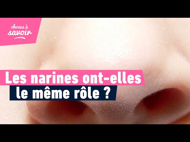 Nos deux narines sentent-elles de la même façon ?