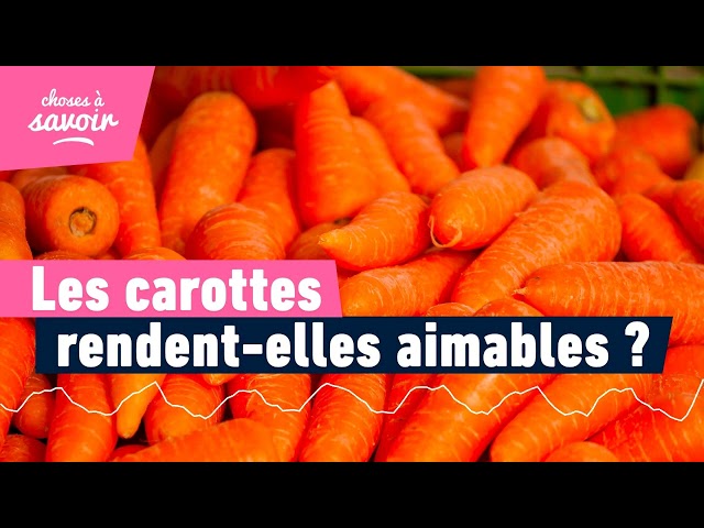 Pourquoi les carottes ont-elles la réputation de rendre aimable ?