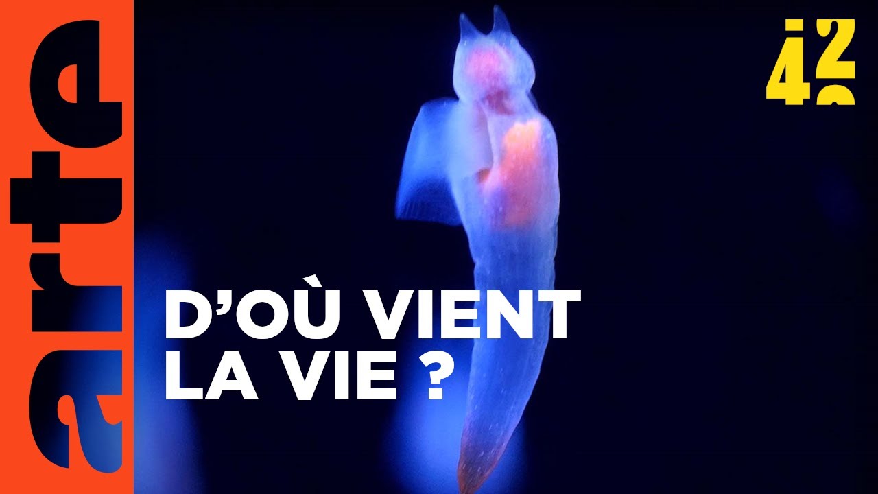 Quelle est l’origine de la vie ?